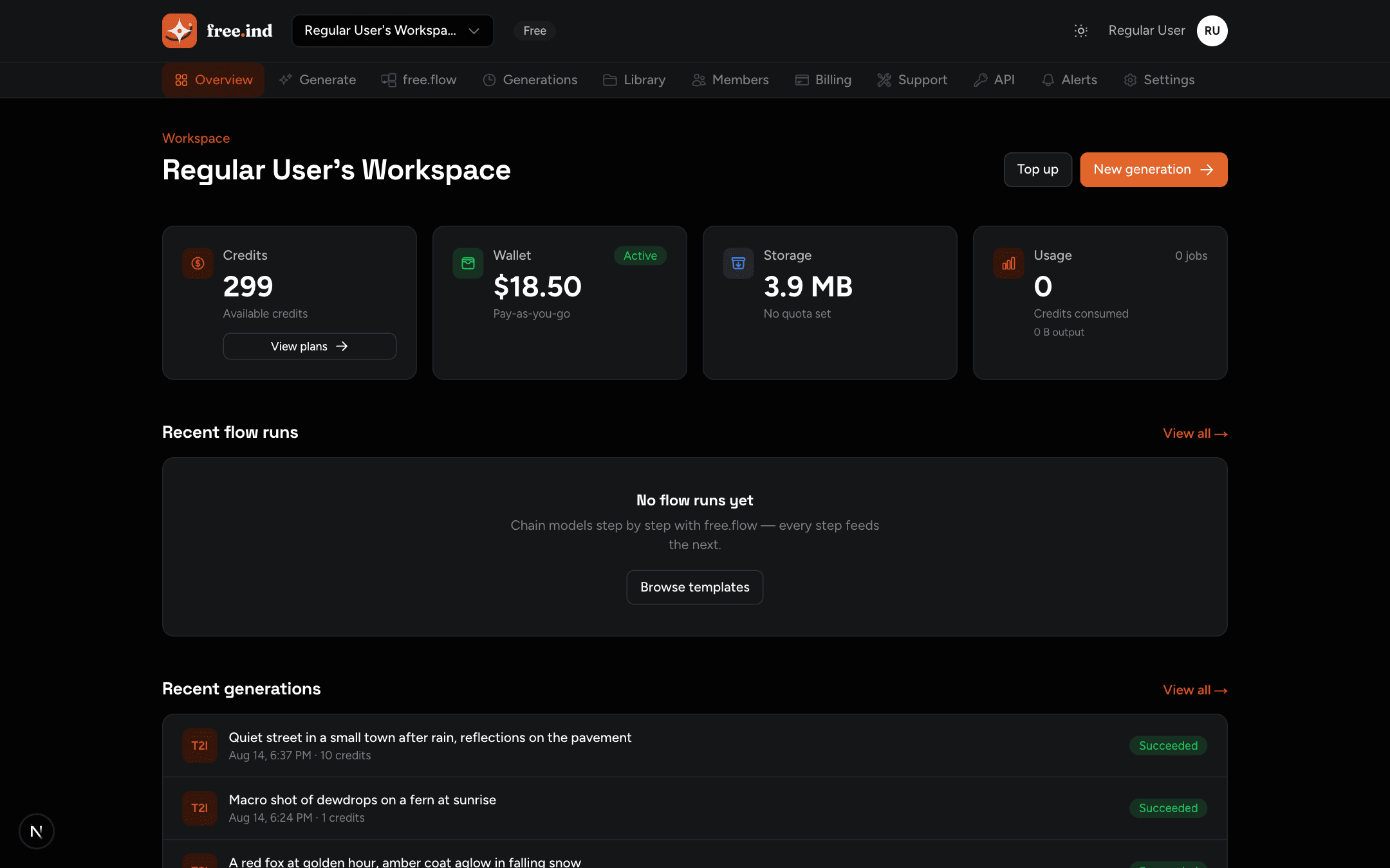 Workspace overview showing credits, wallet, usage, and recent generations
